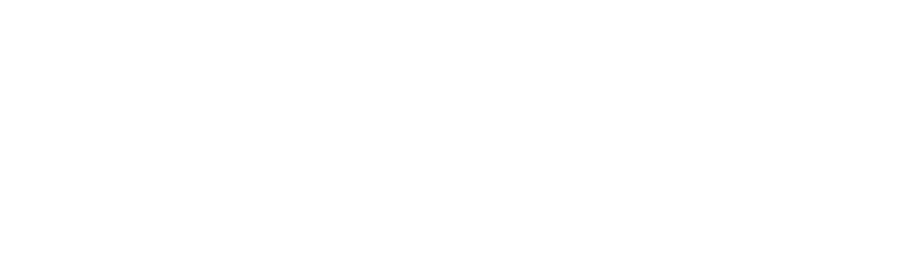 Poetic Dev