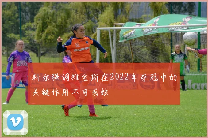 科尔强调维金斯在2022年夺冠中的关键作用不可或缺